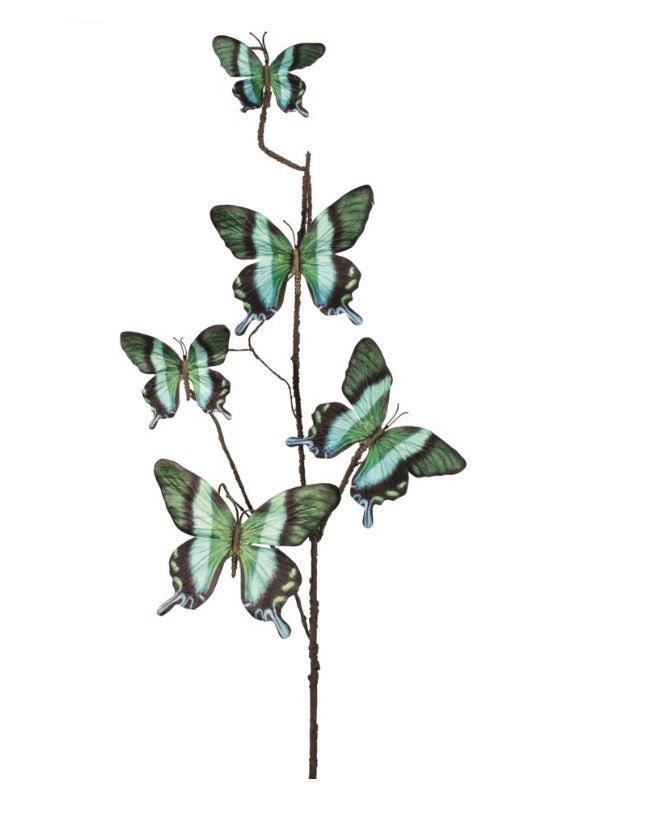 Blue/Green Butterfly Spray