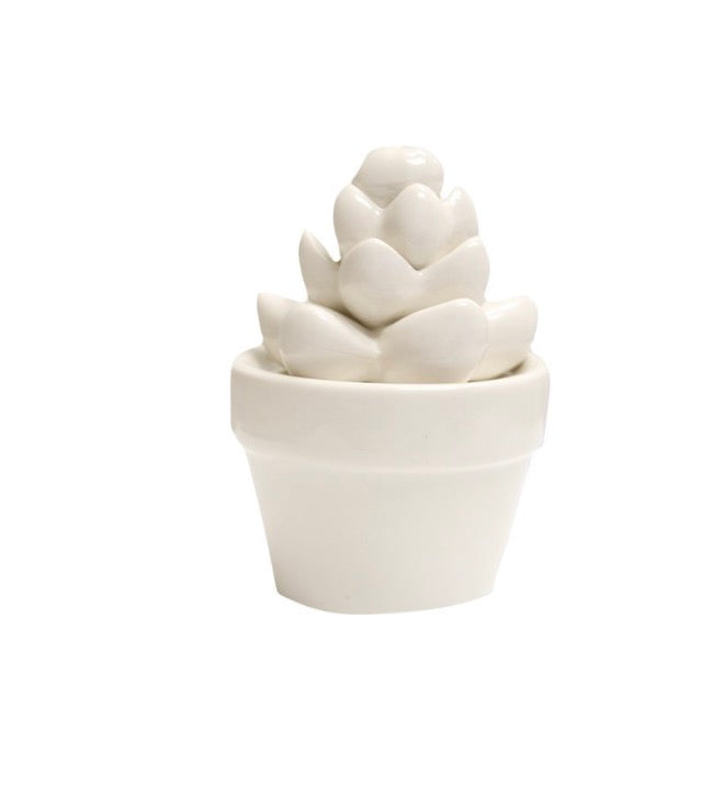 Ceramic Succulent