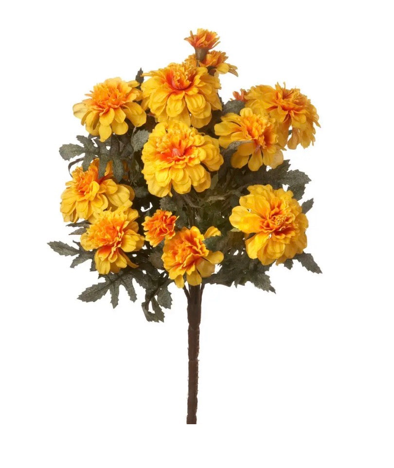 Marigold Bush