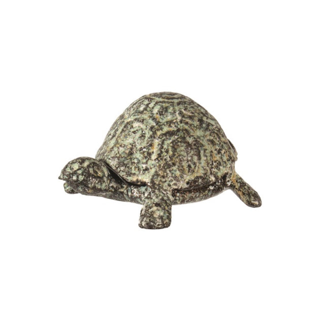 Rustic Green Turtle