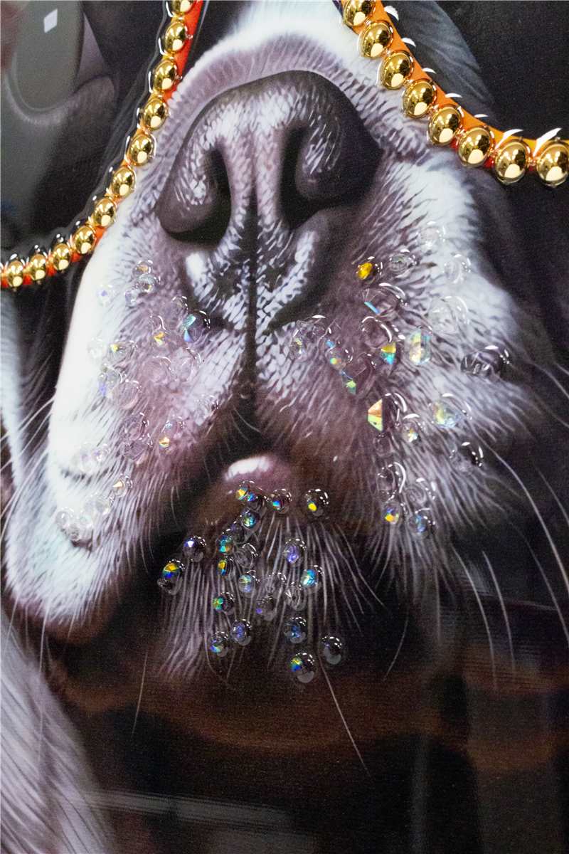 Orange Scarf Bedazzled Dog Wall Art