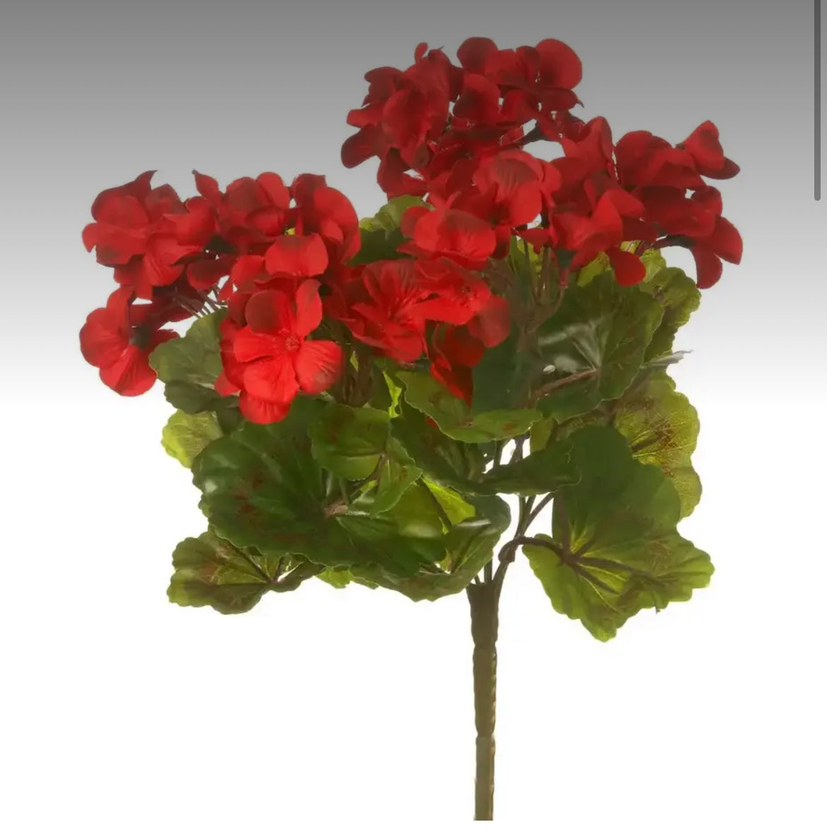 Real Touch Geraniums