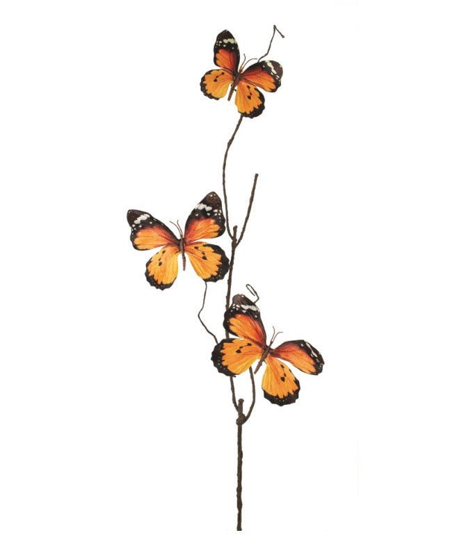 Monarch Butterfly Spray