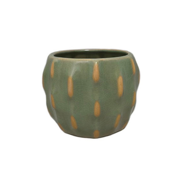 Cactus Planter