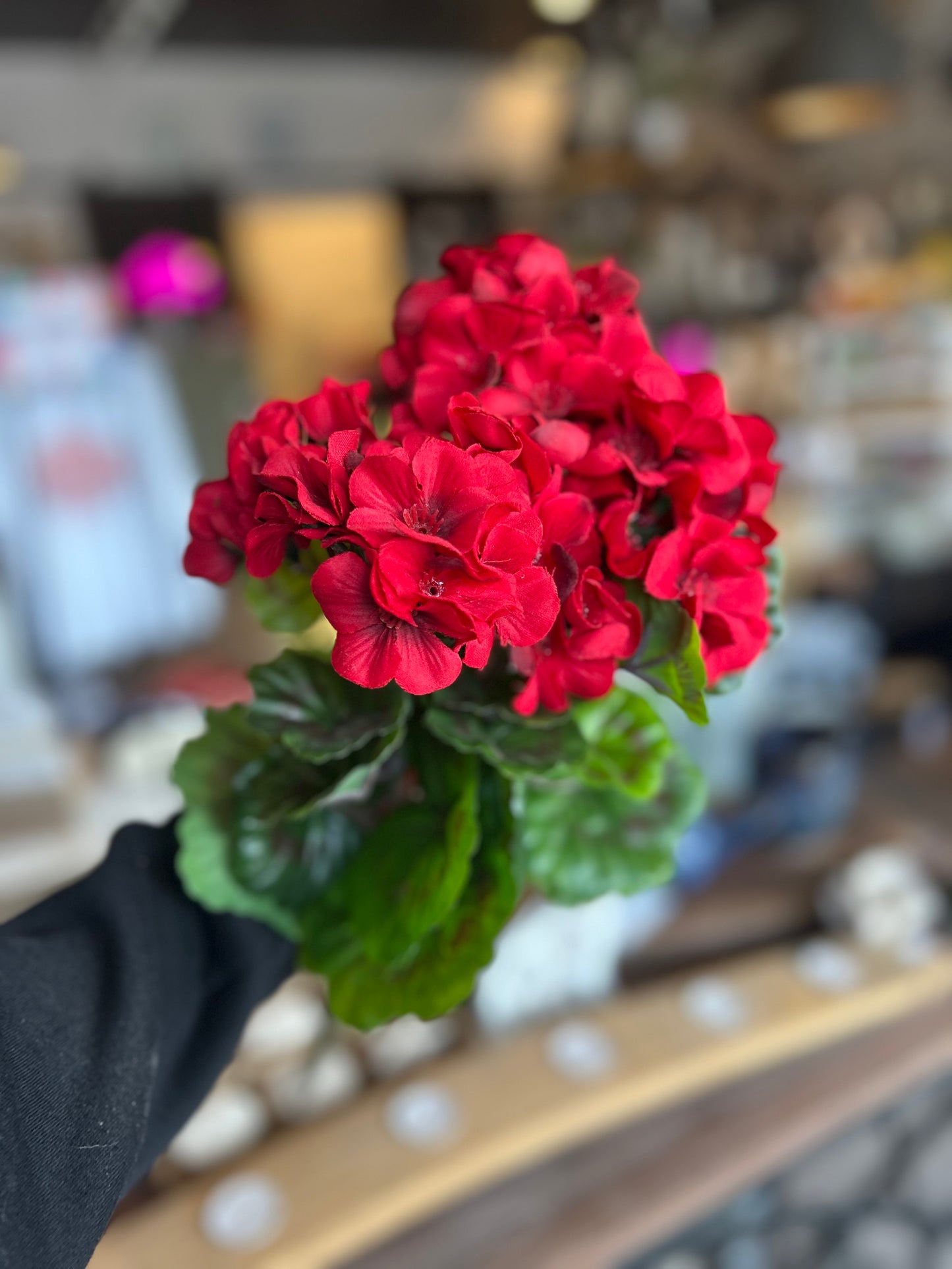 Real Touch Geraniums