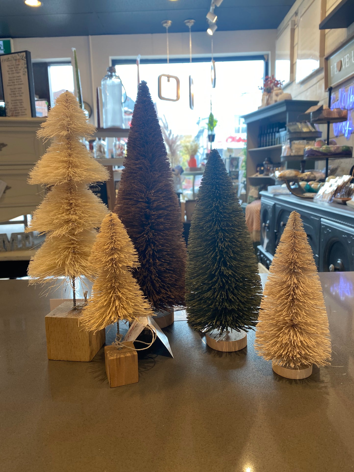 Bottle Brush Trees