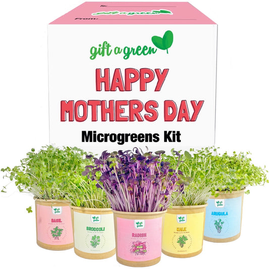 Mother’s Day Microgreens Grow Kit