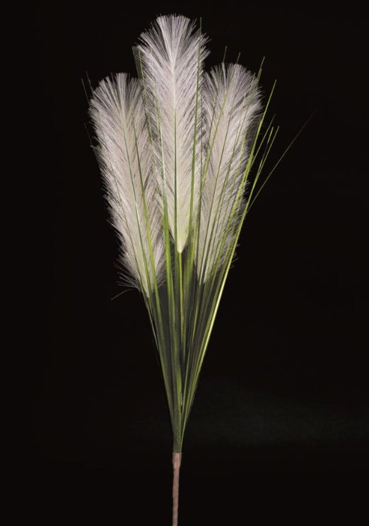 Pampas Grass Spray