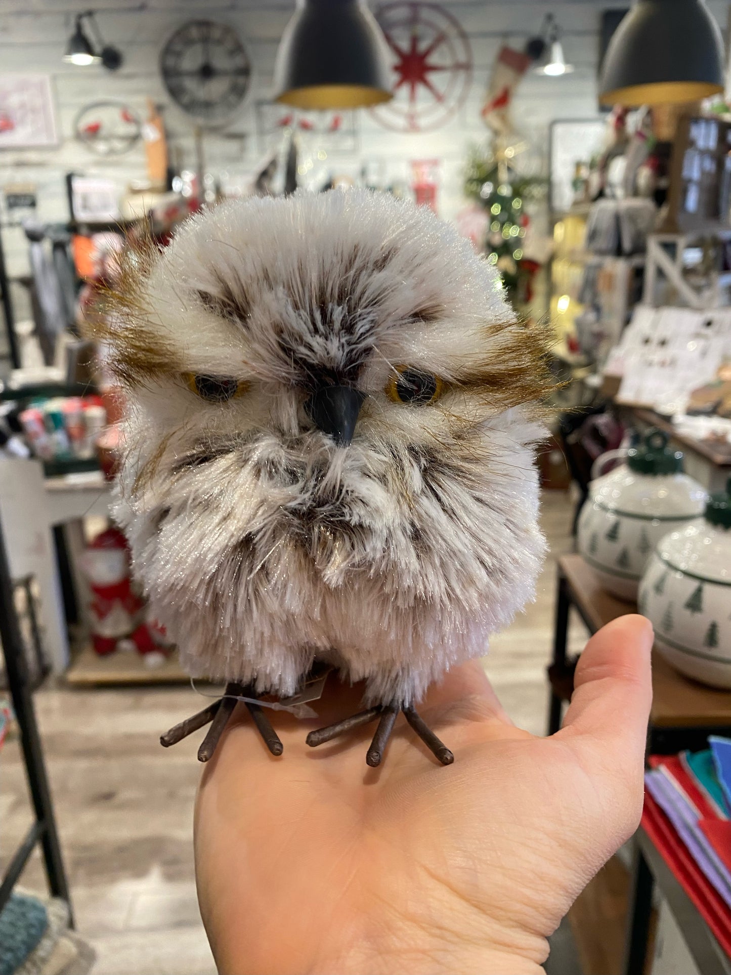 Fluffy Owl