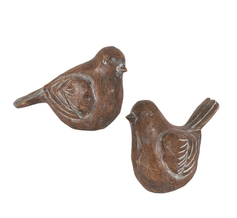 Brown Bird