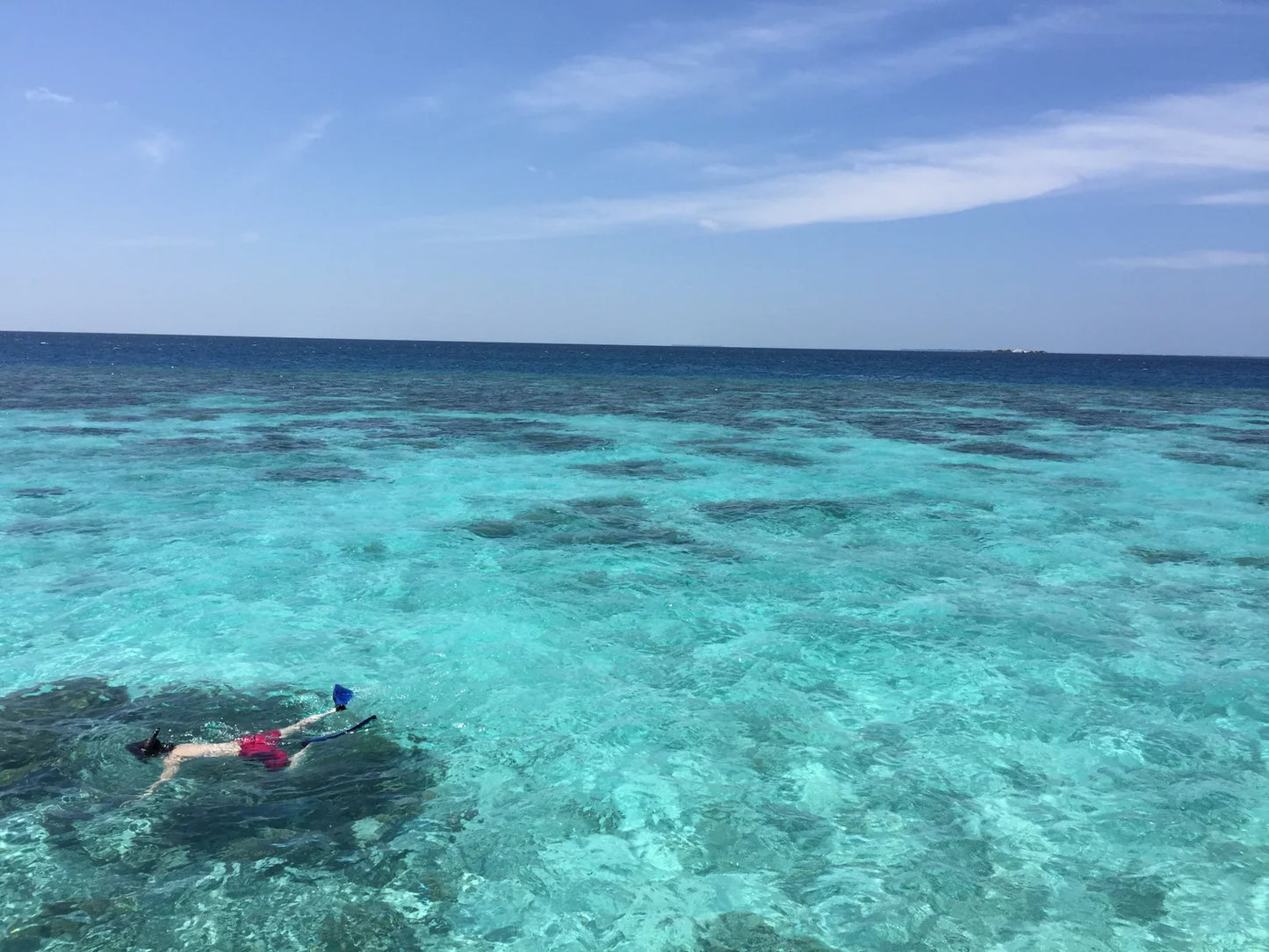 Humble Bee Reed Diffuser Refills