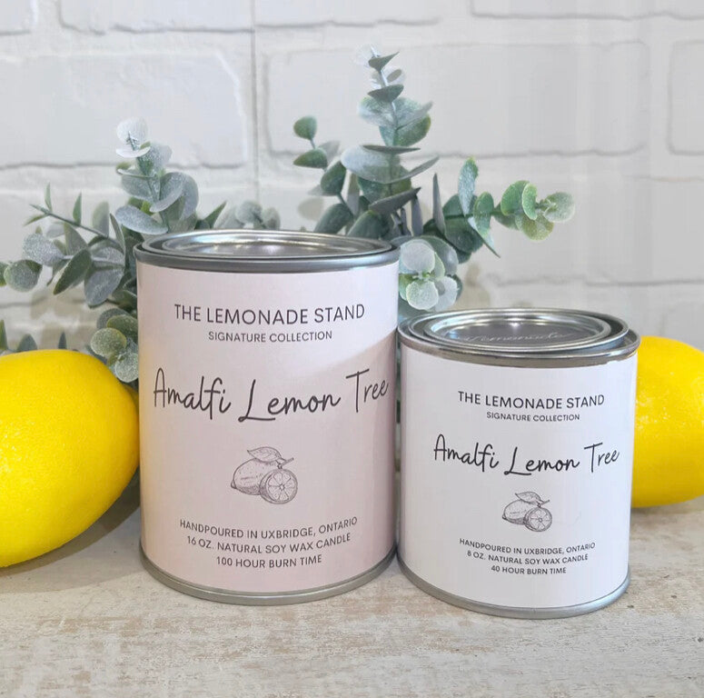 The Lemonade Stand 16oz Originals