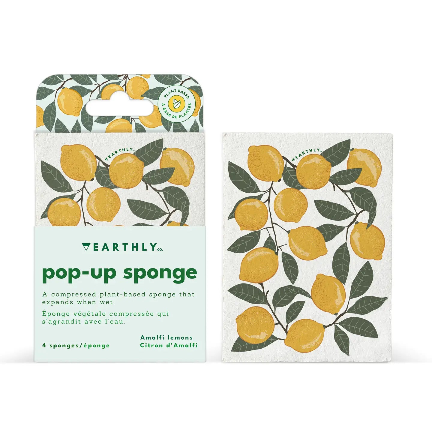 Pop-Up Amalfi Lemon Sponges | 4 Pack