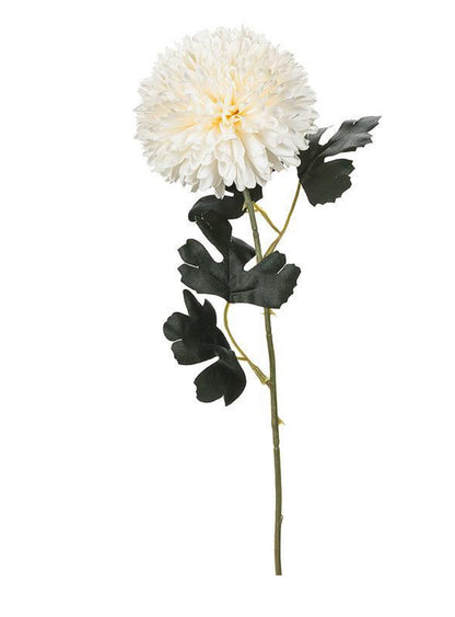 Single Chrysanthemum Stem