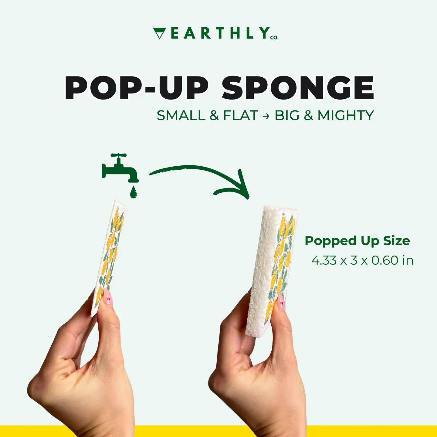 Pop-Up Amalfi Lemon Sponges | 4 Pack