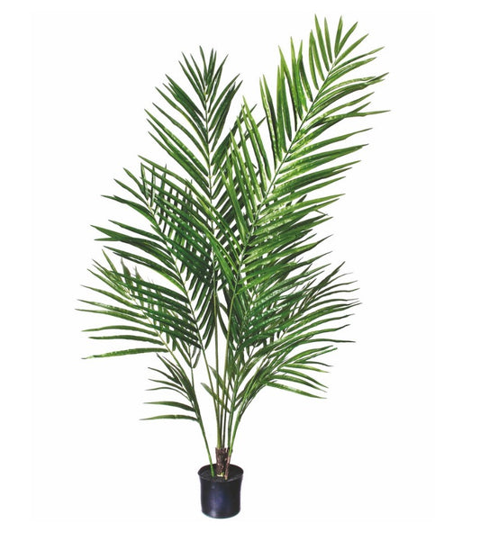 4’ Potted Palm Tree