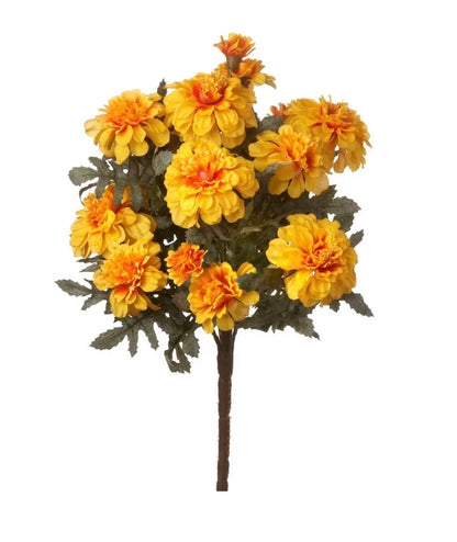 Marigold Bush