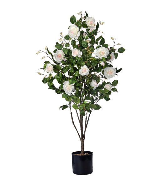 4’ Potted Rose Plant | Yellow