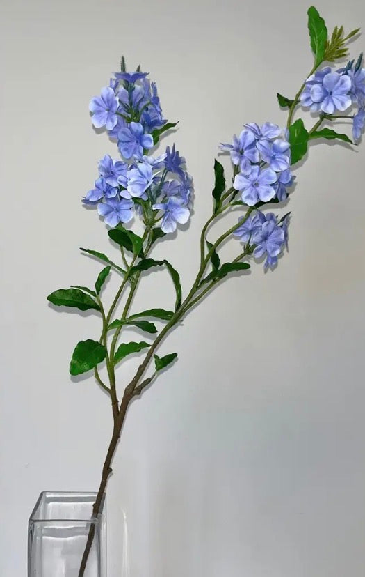 Periwinkle Blossom Branch
