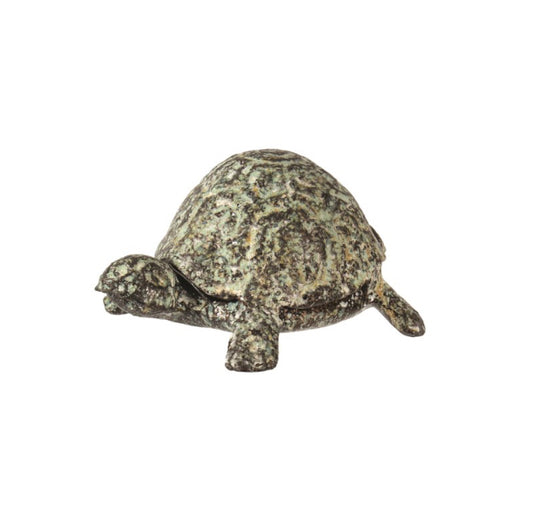 Rustic Green Turtle