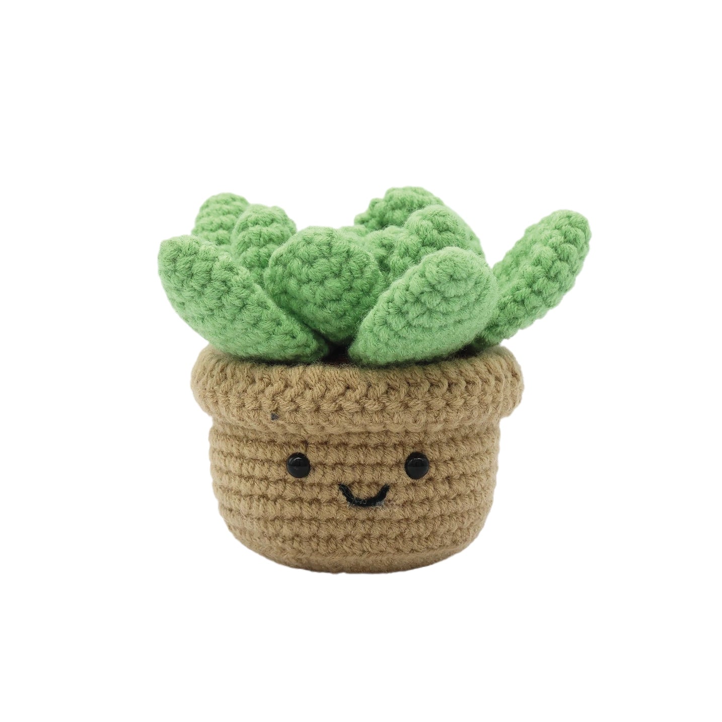 Succulent DIY Crochet Kit