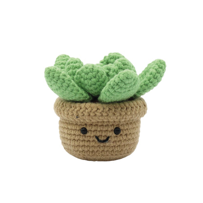 Succulent DIY Crochet Kit
