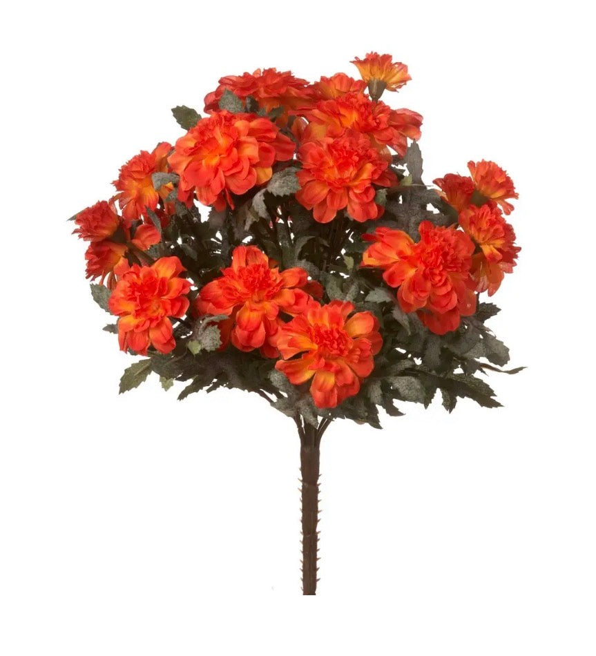 Marigold Bush