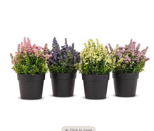 Lavender Plant Pot
