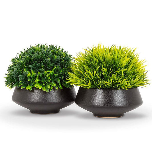 Faux Grassy Plant in Low Pot